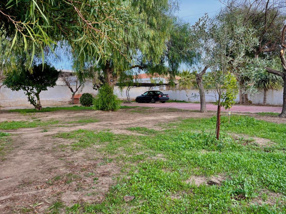 Estudio Adosado Con Jardin Y Parking Privado Alicante Dış mekan fotoğraf