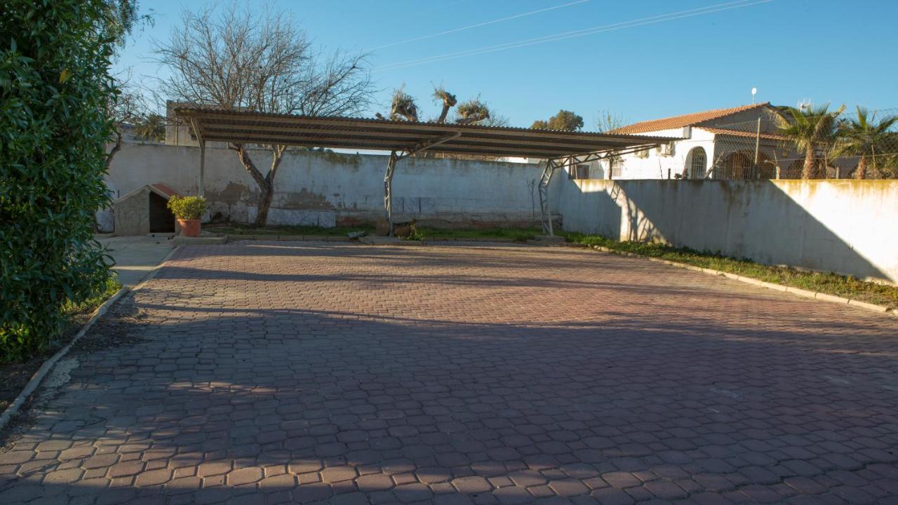 Estudio Adosado Con Jardin Y Parking Privado Alicante Dış mekan fotoğraf