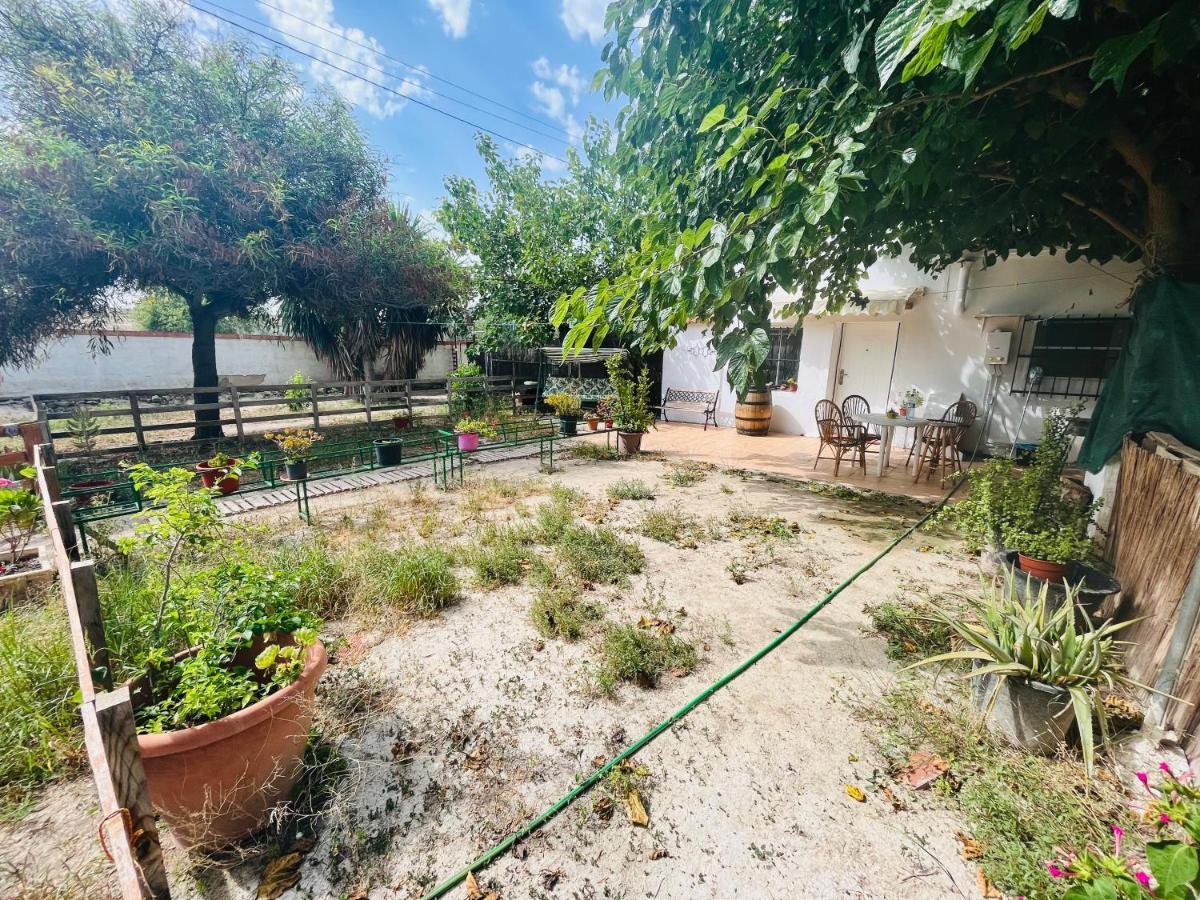 Estudio Adosado Con Jardin Y Parking Privado Alicante Dış mekan fotoğraf